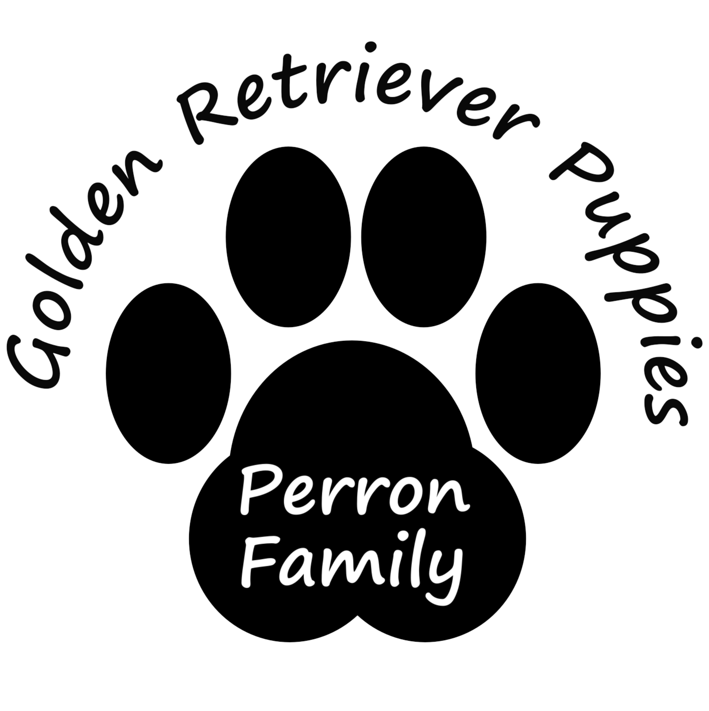 Perron Family Golden Retriever Puppies